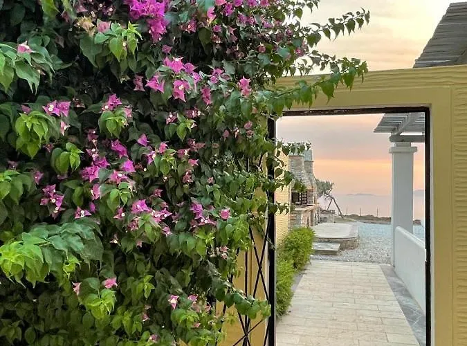 Cape Sunset Makrotándalon