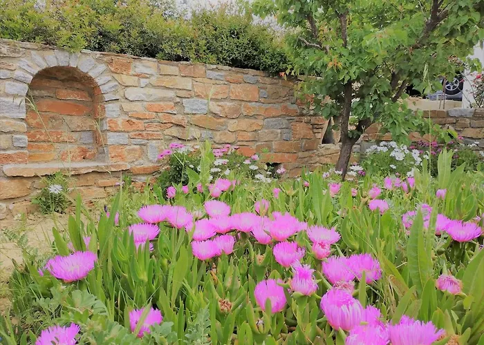 Cape Sunset Makrotándalon