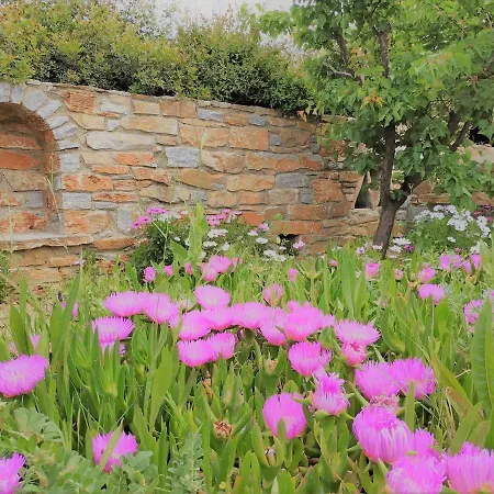 Cape Sunset Makrotandalon