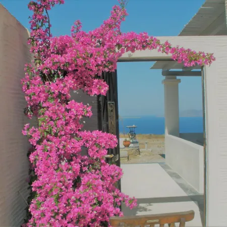 Cape Sunset * Makrotandalon