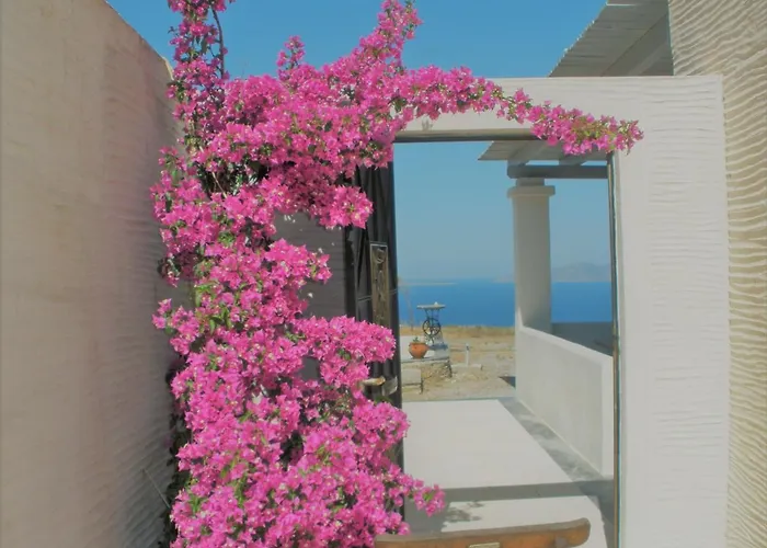 Cape Sunset * Makrotándalon